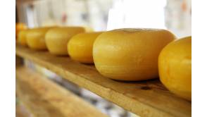 Käse und andere Milchprodukte ohne Kuh? Foto:Topfgucker-TV