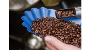 Die erstaunlichen Kräfte der Kaffeebohnen