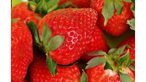 Erdbeeren: Überraschend kombiniert, zum Dahinschmelzen gut Foto:Topfgucker-TV