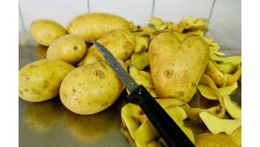 Die Kartoffeldiät Foto:Topfgucker-TV