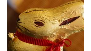 Deutsche Süßwarenindustrie produziert 200 Millionen Osterhasen aus Schokolade Foto:Topfgucker-TV