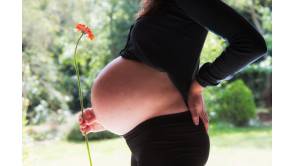 Ein gesunder Weg durch die Schwangerschaft Foto:Topfgucker-TV