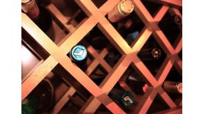 Winzergenossenschaft Meißen dehnt vorbeugend Überprüfung auf alle Weine aus Foto:Topfgucker-TV