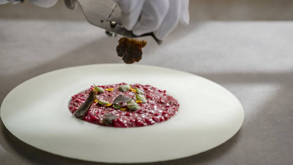 Restaurant ZIGANTE, violet Risotto, beetroot, winter black Trüffelelhunden